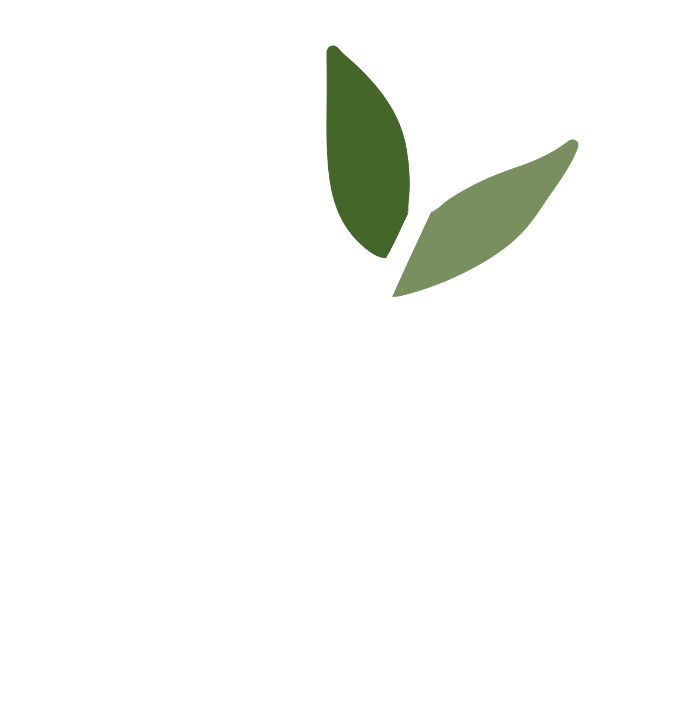 wintrees